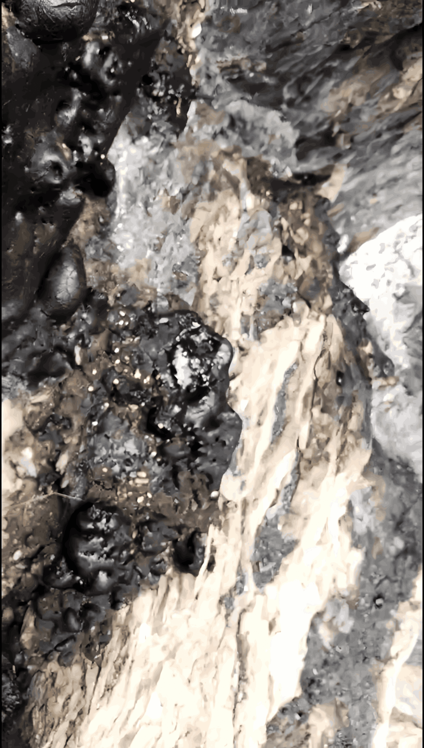 tibet shilajit stone